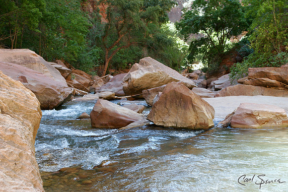 Virgin River Rocks - Zion National Park