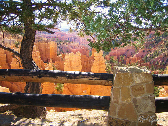 Rail Fence - Bryce Canyon NP
