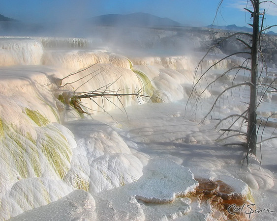 Mamouth Hot Springs - Yellowstone NP