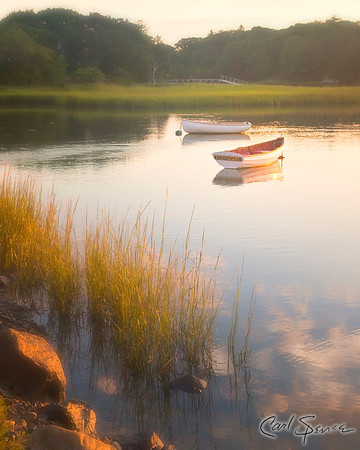 Massachusetts Marsh