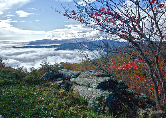 Valley Fog - Shenandoah