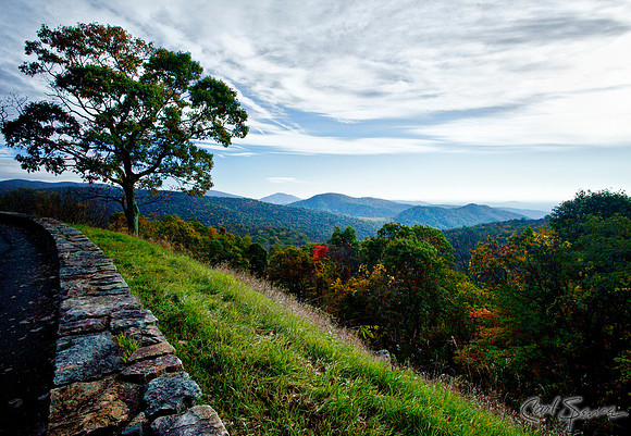 Edge of the Ridge - Shenandoah