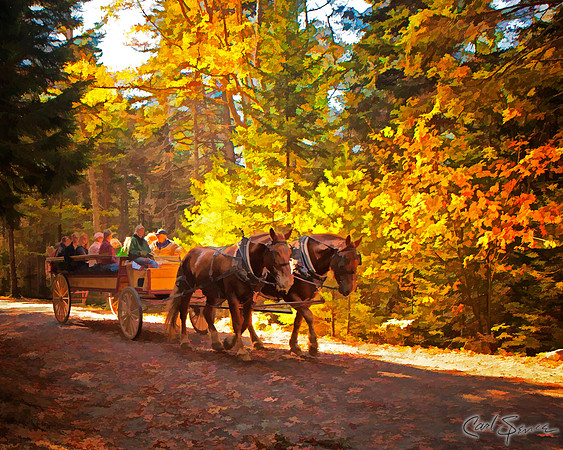 Acadia Carriage Ride