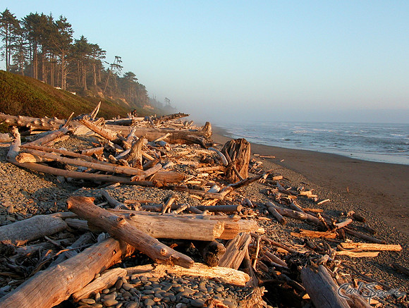 Washington shoreline