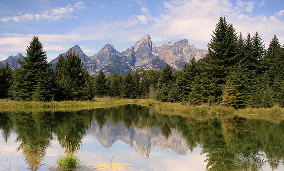 Grand Tetons from Beaver Pond - Grand Teton National Park