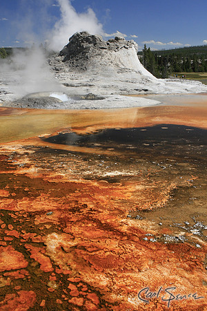 Castle Giser, Yellowstone National Park