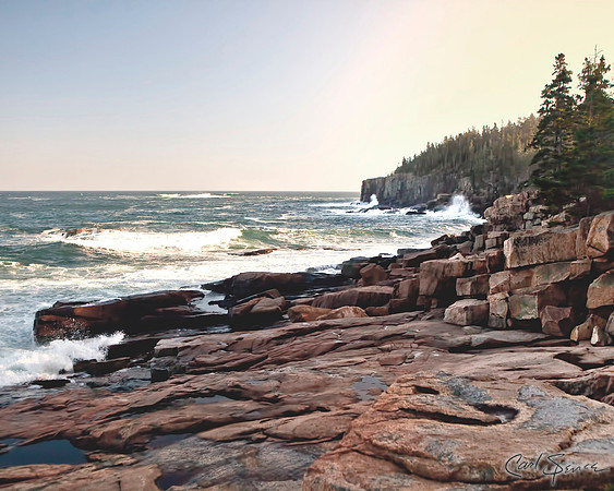 Acadia Surf