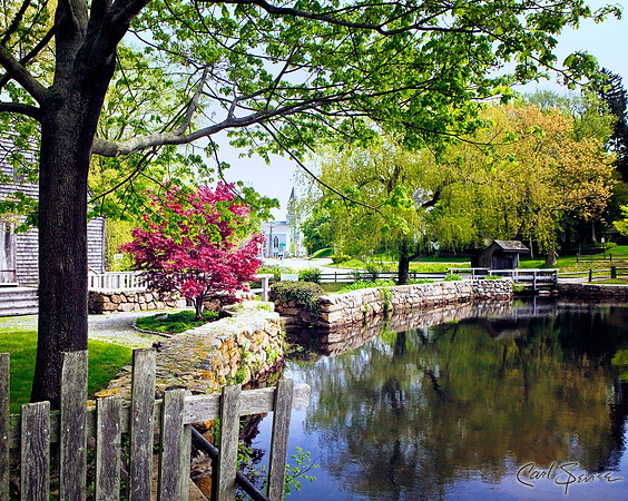 Cape Cod Stream