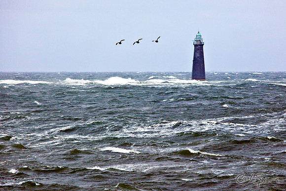 Minot Ledge Light with Birds - Massachusetts Bay