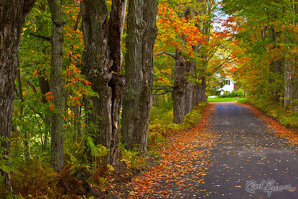 New England Byway