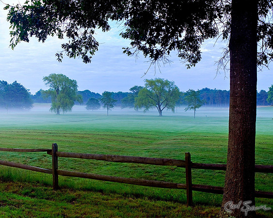 Foggy Morning